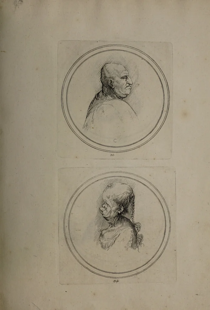 An illustration from Recueil de testes de caractère et de charges / dessinées par Leonard de Vinci ... et gravées par M. le C. de C. [i.e. le comte de Caylus]., 1730, leaf 63