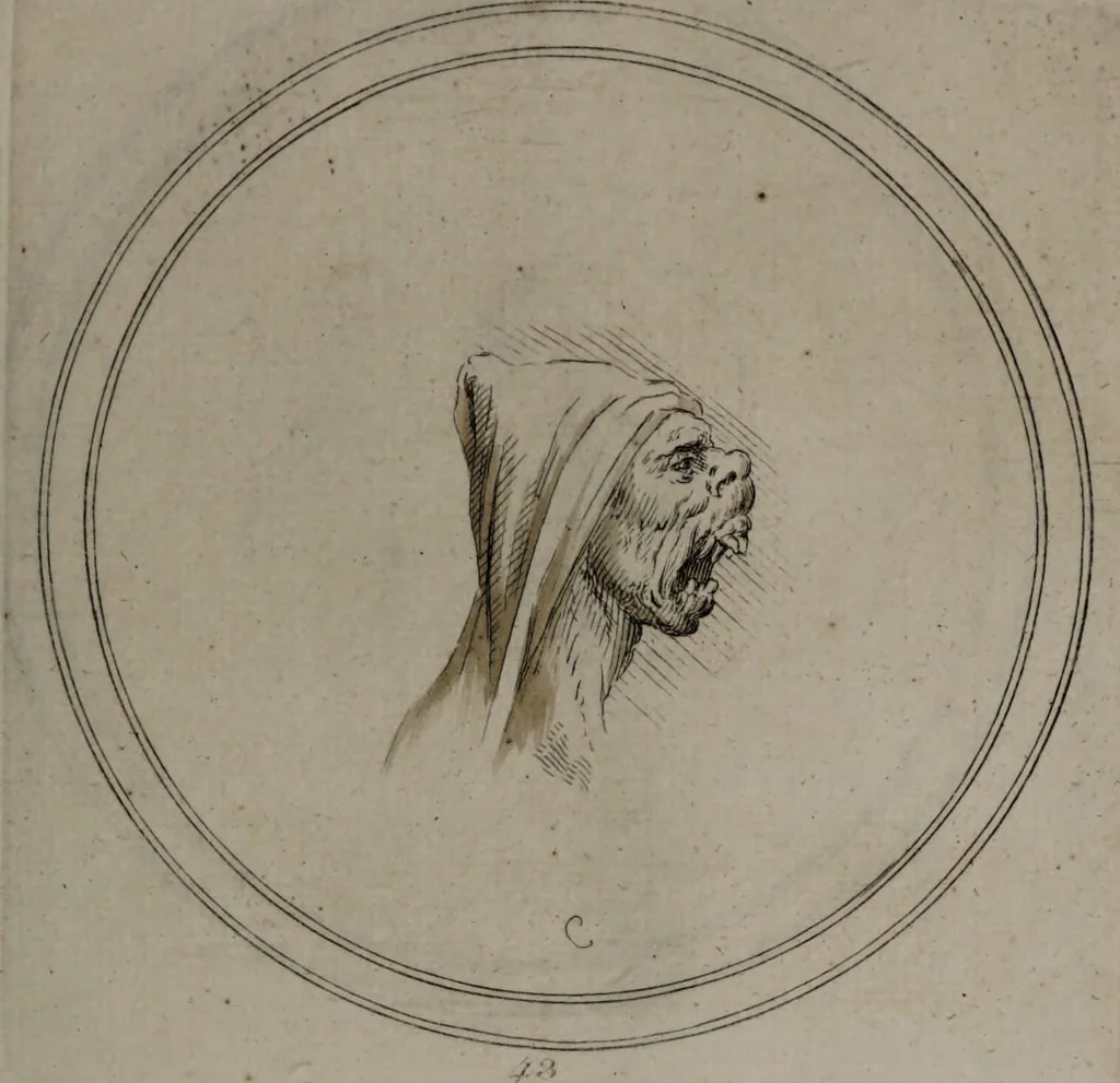 An illustration from Recueil de testes de caractère et de charges / dessinées par Leonard de Vinci ... et gravées par M. le C. de C. [i.e. le comte de Caylus]., 1730, leaf 73