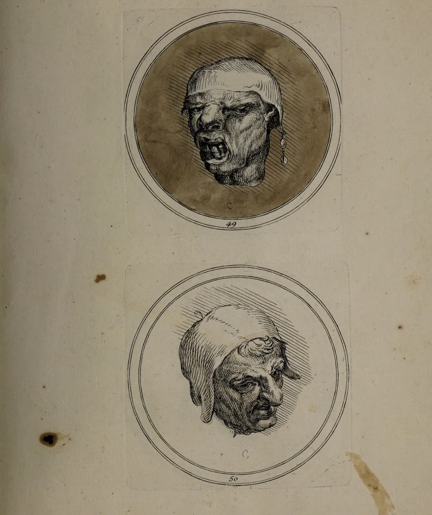 An illustration from Recueil de testes de caractère et de charges / dessinées par Leonard de Vinci ... et gravées par M. le C. de C. [i.e. le comte de Caylus]., 1730, leaf 79