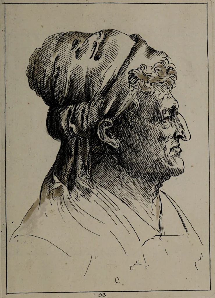 An illustration from Recueil de testes de caractère et de charges / dessinées par Leonard de Vinci ... et gravées par M. le C. de C. [i.e. le comte de Caylus]., 1730, leaf 83