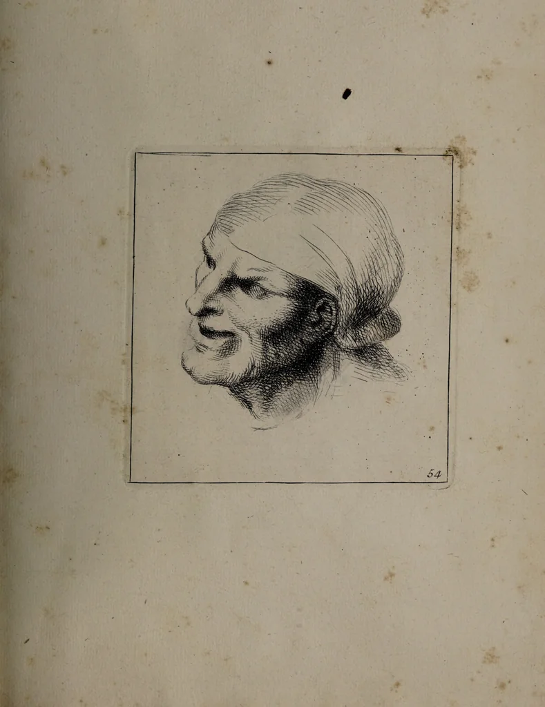 An illustration from Recueil de testes de caractère et de charges / dessinées par Leonard de Vinci ... et gravées par M. le C. de C. [i.e. le comte de Caylus]., 1730, leaf 85