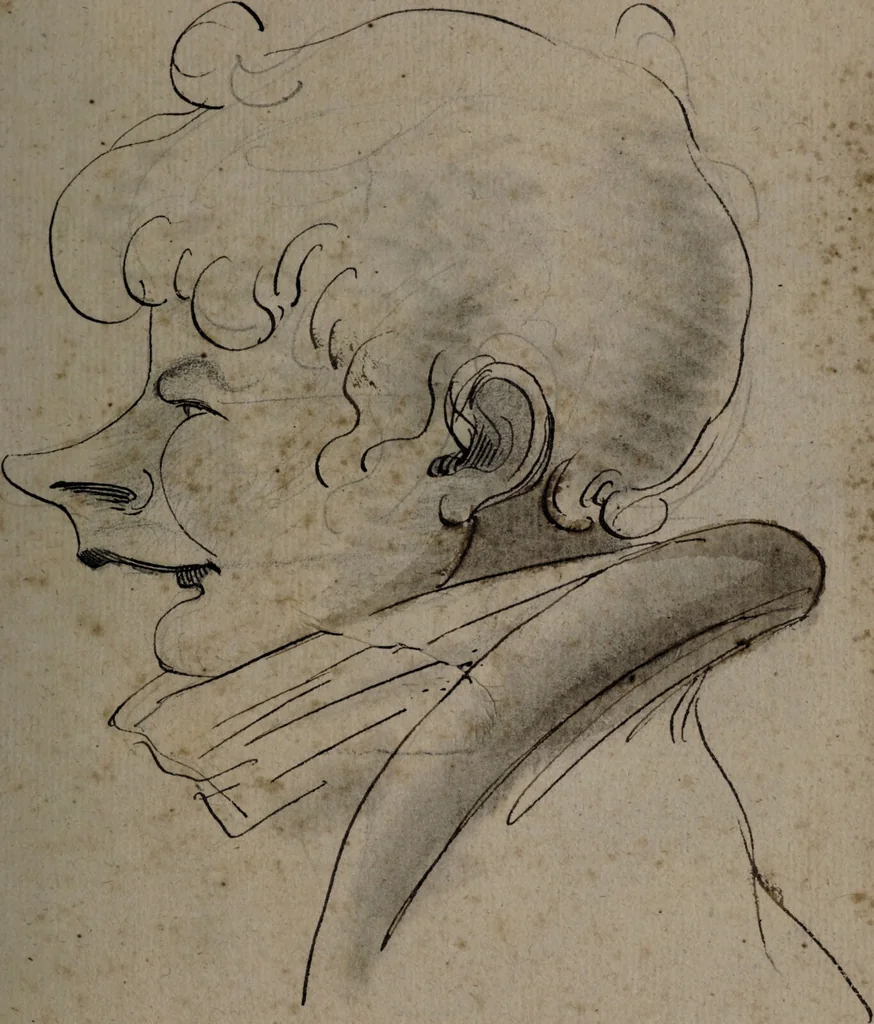 An illustration from Recueil de testes de caractère et de charges / dessinées par Leonard de Vinci ... et gravées par M. le C. de C. [i.e. le comte de Caylus]., 1730, leaf 95