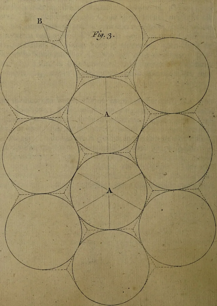 An illustration from Compendium anatomicum ea omnia complectens quae ad cognitam humani corporis oeconomiam spectant. Cui, quo clarius elucescat, quanti sit anatomia in medicinâ tam diagnosticâ & prognosticâ quam practicâ, adjiciuntur praelectiones artem obstetricariam actiones medicamentorum et proximas mortis causas anatomicis principiis exponentes. In usum Academiae Oxoniensis / constructum a F. Nicholls e Coll. Exon. M.D. Prael. Anat. Oxon. C.M.L.S. & F.R.S., 1733, leaf 10