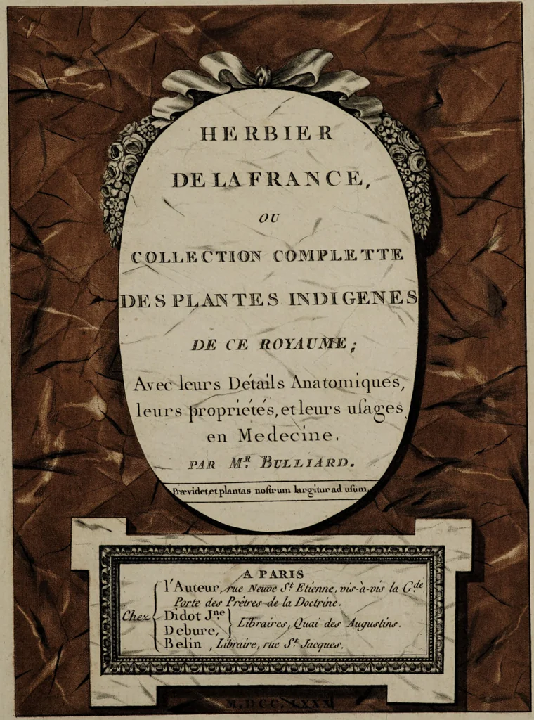 An illustration from [Herbier de la France, ou collection complette des plantes indigènes de ce royaume] / [Pierre Bulliard]., 1780, leaf 9