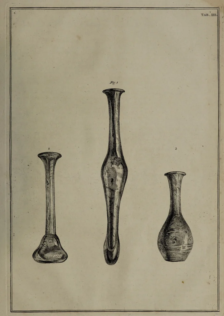 An illustration from Museum Britannicum; or, a display ... in [sic] antiquities and natural curiosities, in ... the British Museum .... / [Jan van Rymsdyk]., 1791, leaf 131
