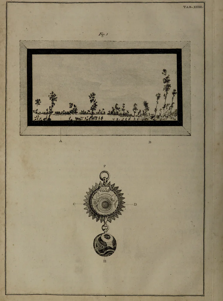 An illustration from Museum Britannicum; or, a display ... in [sic] antiquities and natural curiosities, in ... the British Museum .... / [Jan van Rymsdyk]., 1791, leaf 140