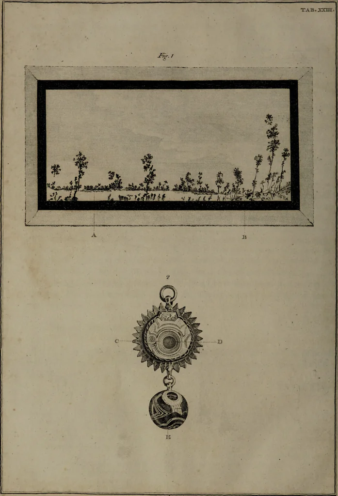An illustration from Museum Britannicum; or, a display ... in [sic] antiquities and natural curiosities, in ... the British Museum .... / [Jan van Rymsdyk]., 1791, leaf 140