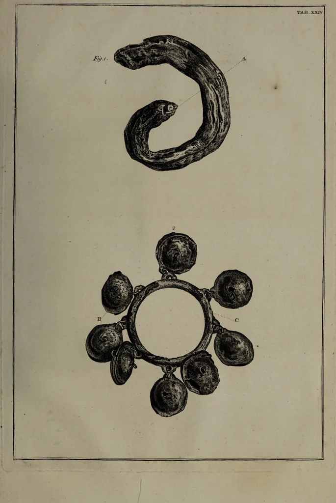 An illustration from Museum Britannicum; or, a display ... in [sic] antiquities and natural curiosities, in ... the British Museum .... / [Jan van Rymsdyk]., 1791, leaf 143