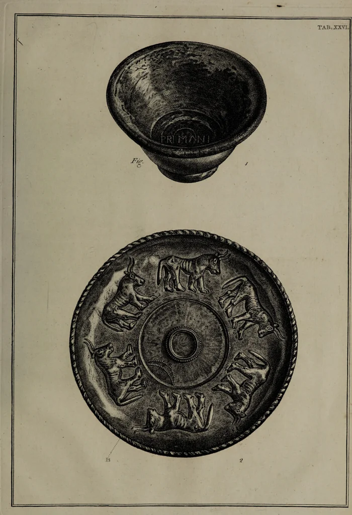 An illustration from Museum Britannicum; or, a display ... in [sic] antiquities and natural curiosities, in ... the British Museum .... / [Jan van Rymsdyk]., 1791, leaf 153