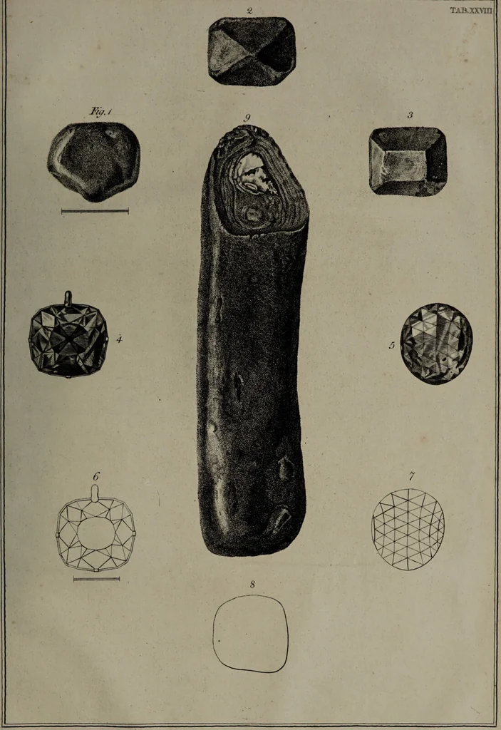 An illustration from Museum Britannicum; or, a display ... in [sic] antiquities and natural curiosities, in ... the British Museum .... / [Jan van Rymsdyk]., 1791, leaf 163
