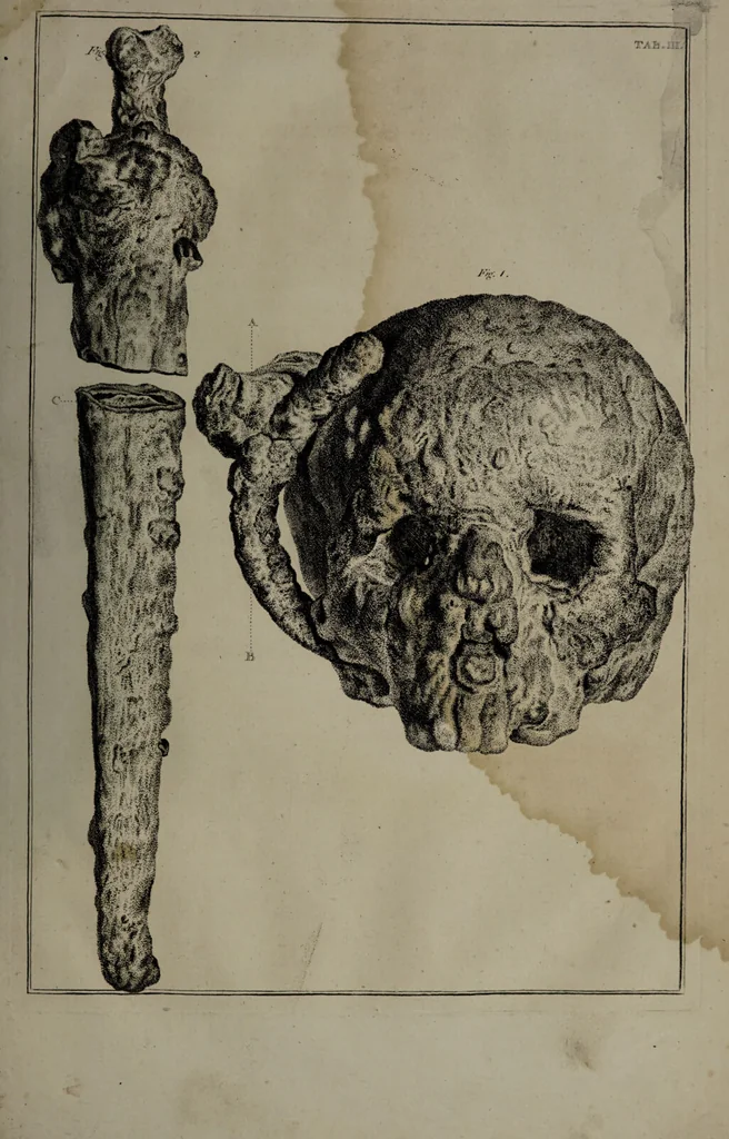An illustration from Museum Britannicum; or, a display ... in [sic] antiquities and natural curiosities, in ... the British Museum .... / [Jan van Rymsdyk]., 1791, leaf 51