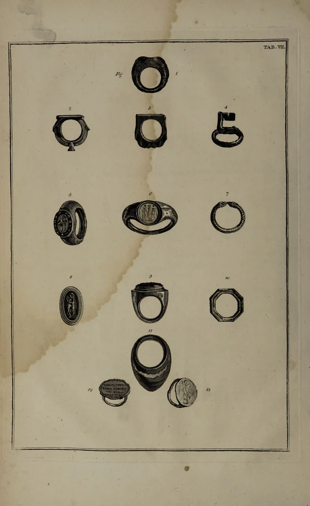 An illustration from Museum Britannicum; or, a display ... in [sic] antiquities and natural curiosities, in ... the British Museum .... / [Jan van Rymsdyk]., 1791, leaf 70