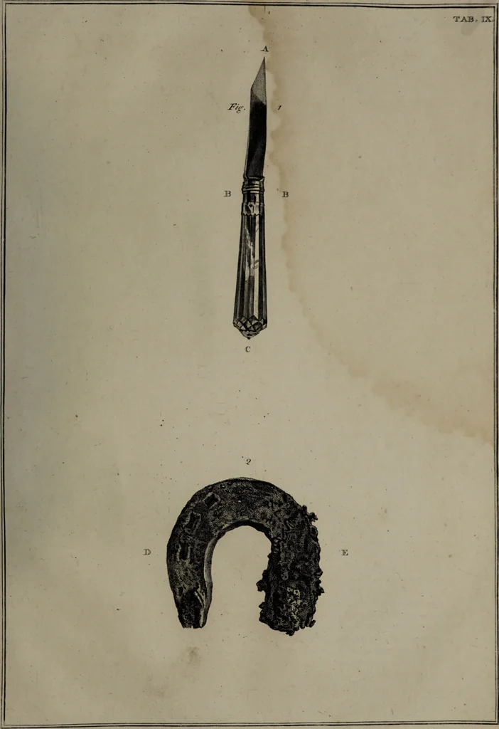 An illustration from Museum Britannicum; or, a display ... in [sic] antiquities and natural curiosities, in ... the British Museum .... / [Jan van Rymsdyk]., 1791, leaf 79