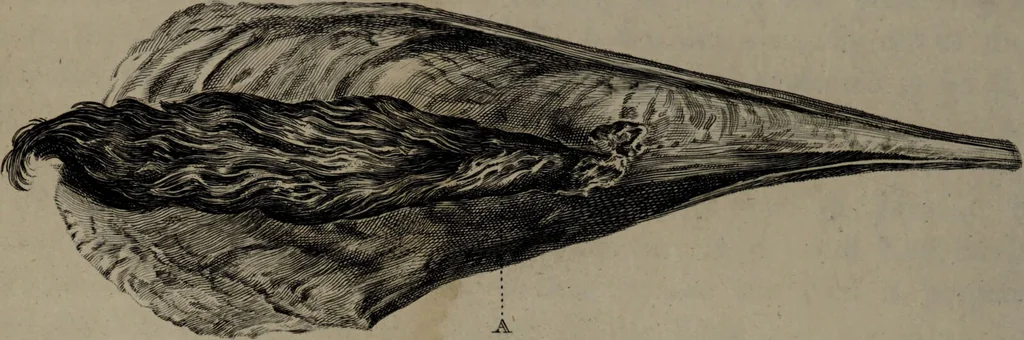 An illustration from Museum Britannicum; or, a display ... in [sic] antiquities and natural curiosities, in ... the British Museum .... / [Jan van Rymsdyk]., 1791, leaf 92