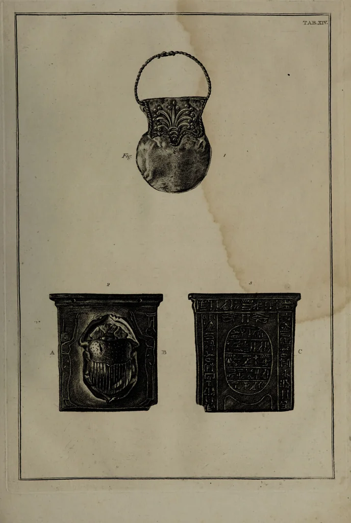 An illustration from Museum Britannicum; or, a display ... in [sic] antiquities and natural curiosities, in ... the British Museum .... / [Jan van Rymsdyk]., 1791, leaf 99