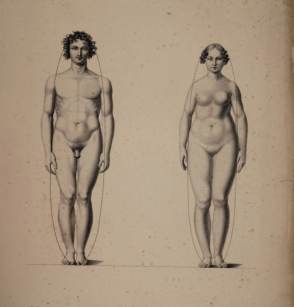 An illustration from Nouvelles démonstrations d'accouchemens. Avec des planches en taille-douce, accompagnées d'un texte raisonné, propre à en faciliter l'explication ... / Par J.-P. Maygrier., 1822, leaf 7