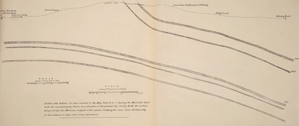 An illustration from A collection of geological facts and practical observations, intended to elucidate the formation of the Ashby Coal-field. In the parish of Ashby-de-la-Zouch and the neighbouring district; being the result of forty years' esperience and research / By Edward Mammatt. Illustrated by a map and profiles, coloured sections of the stratification and one hundred and two plates of vegetable fossils, after drewings taken from nature, by Robert Ironmonger., 1834, leaf 123