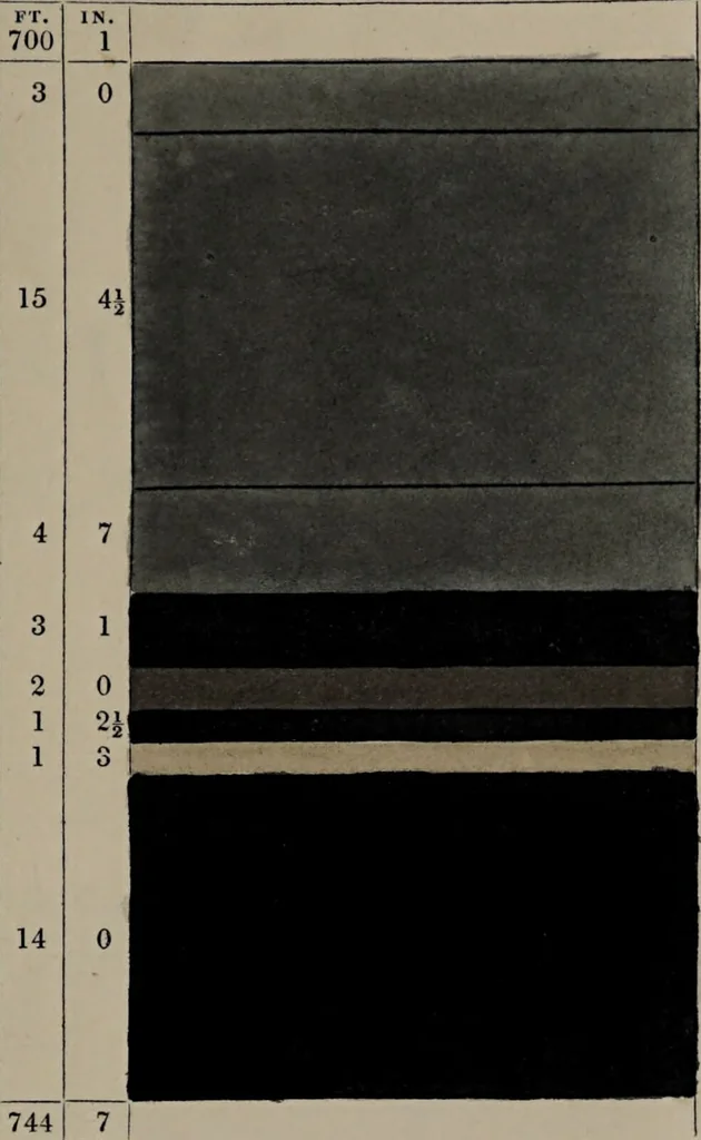 An illustration from A collection of geological facts and practical observations, intended to elucidate the formation of the Ashby Coal-field. In the parish of Ashby-de-la-Zouch and the neighbouring district; being the result of forty years' esperience and research / By Edward Mammatt. Illustrated by a map and profiles, coloured sections of the stratification and one hundred and two plates of vegetable fossils, after drewings taken from nature, by Robert Ironmonger., 1834, leaf 159