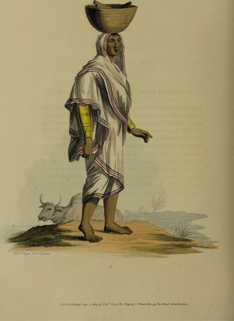 An illustration from The costume of Indostan, elucidated by sixty coloured engravings; with descriptions in English and French, taken in the years 1798 and 1799 / By Balt. Solvyns., 1804, leaf 164