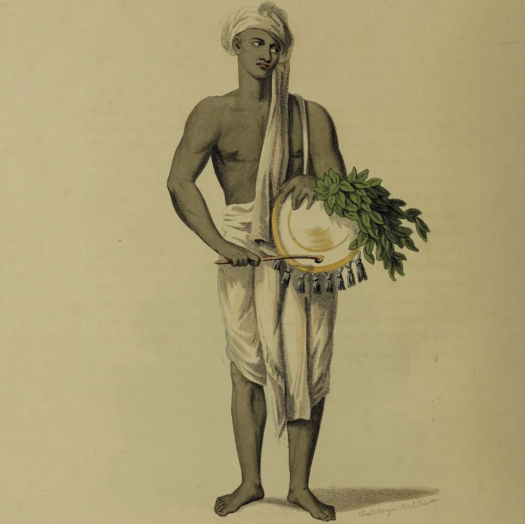 An illustration from The costume of Indostan, elucidated by sixty coloured engravings; with descriptions in English and French, taken in the years 1798 and 1799 / By Balt. Solvyns., 1804, leaf 242
