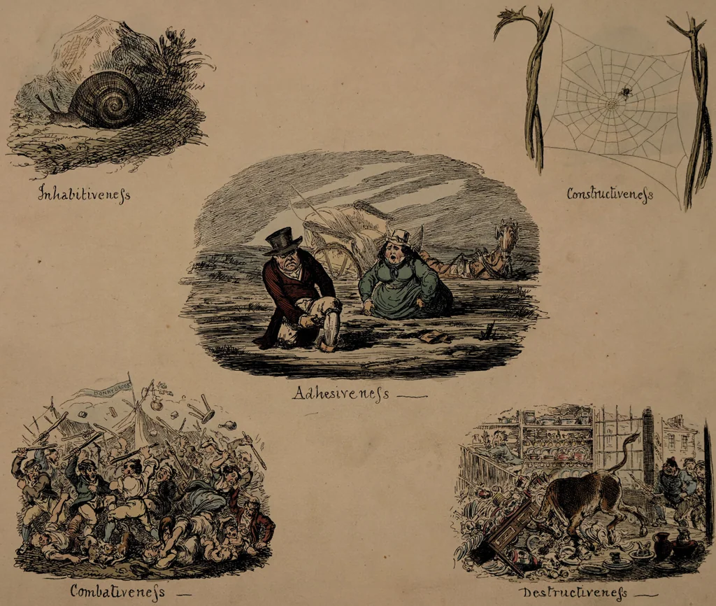 An illustration from Phrenological illustrations, or an artist's view of the craniological system of Doctors Gall and Spurzheim / By George Cruikshank., 1827, leaf 13
