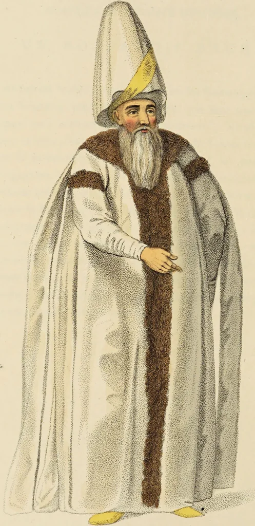 An illustration from The costume of Turkey / illustrated by a series of engravings; with descriptions in English and French., 1802, leaf 248