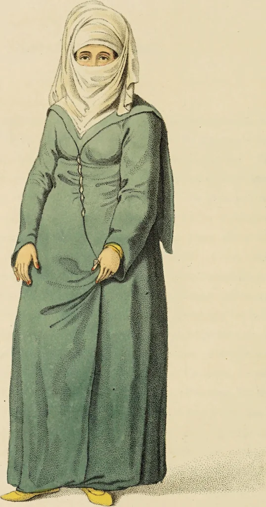 An illustration from The costume of Turkey / illustrated by a series of engravings; with descriptions in English and French., 1802, leaf 76