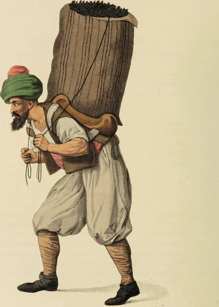 An illustration from The costume of Turkey / illustrated by a series of engravings; with descriptions in English and French., 1802, leaf 80