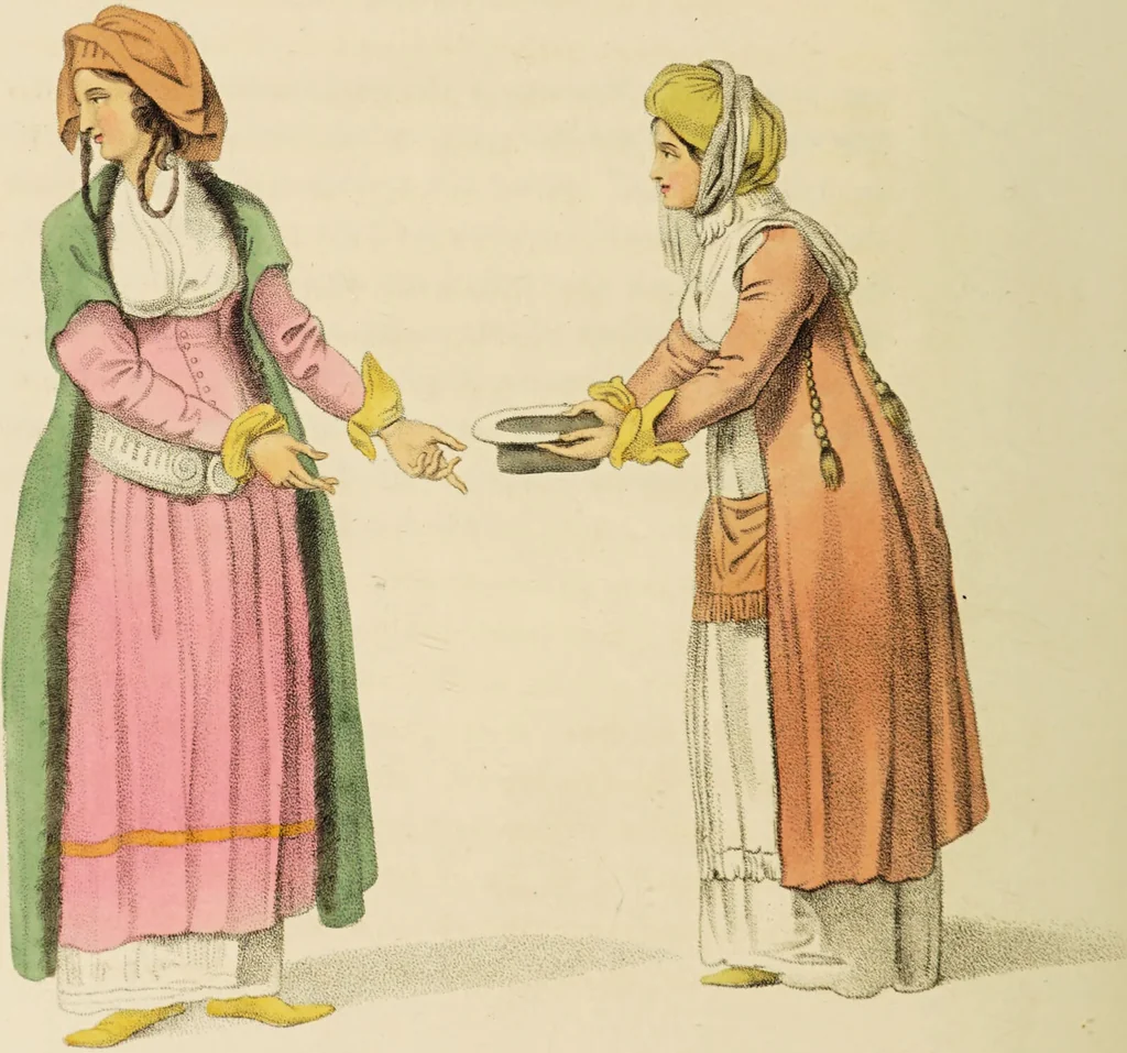 An illustration from The costume of Turkey / illustrated by a series of engravings; with descriptions in English and French., 1802, leaf 88