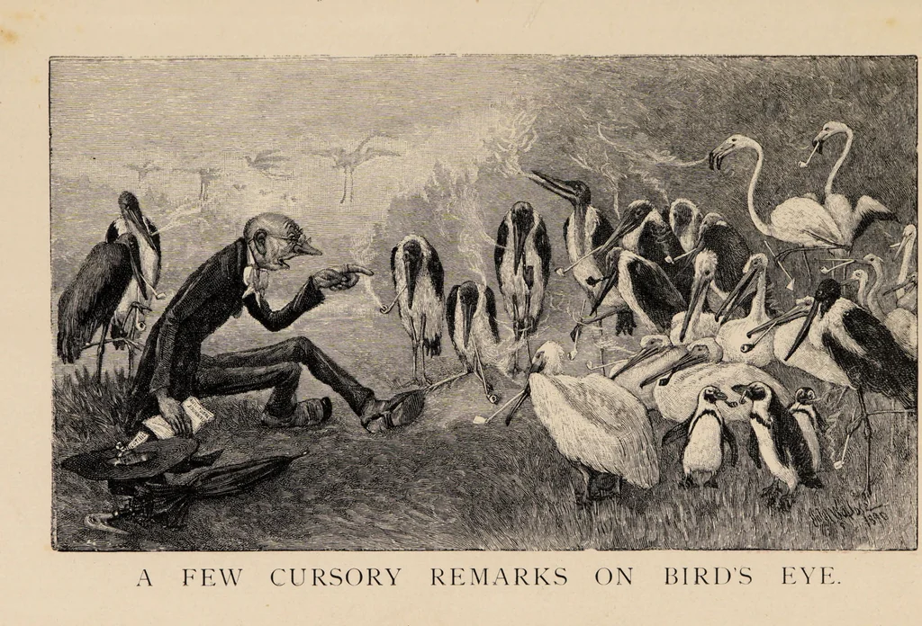 An illustration from Cope's mixture : selected from his Tobacco Plant., 1893, leaf 4