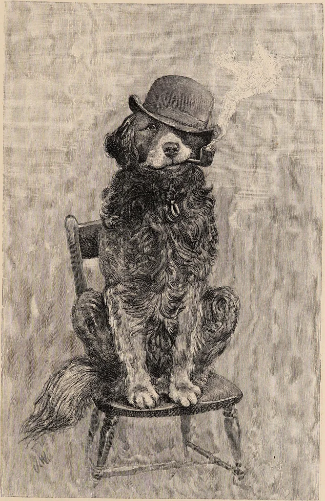 An illustration from Cope's mixture : selected from his Tobacco Plant., 1893, leaf 5