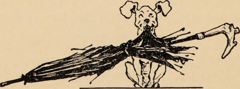 An illustration from Cope's mixture : selected from his Tobacco Plant., 1893, leaf 66