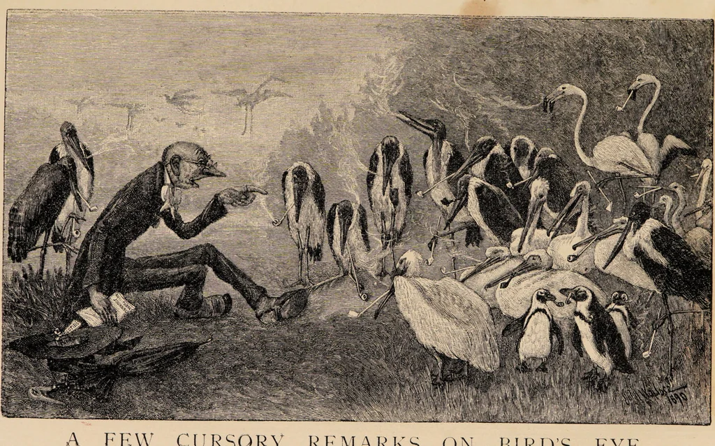 An illustration from John Ruskin : on himself and things in general., 1893, leaf 4