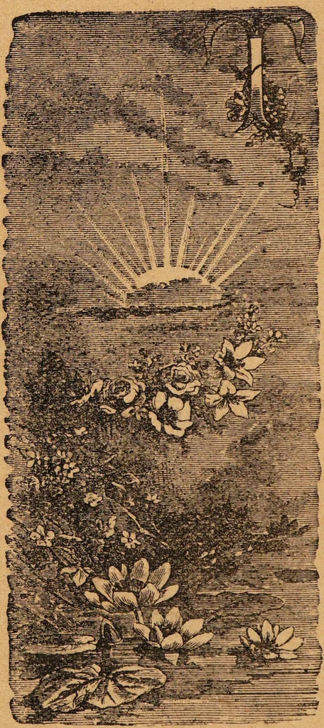 An illustration from Happy days / presented by the makers of Carter's Little Liver Pills., 1882, leaf 4