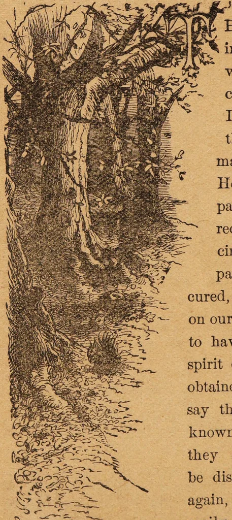 An illustration from Happy days / presented by the makers of Carter's Little Liver Pills., 1882, leaf 8