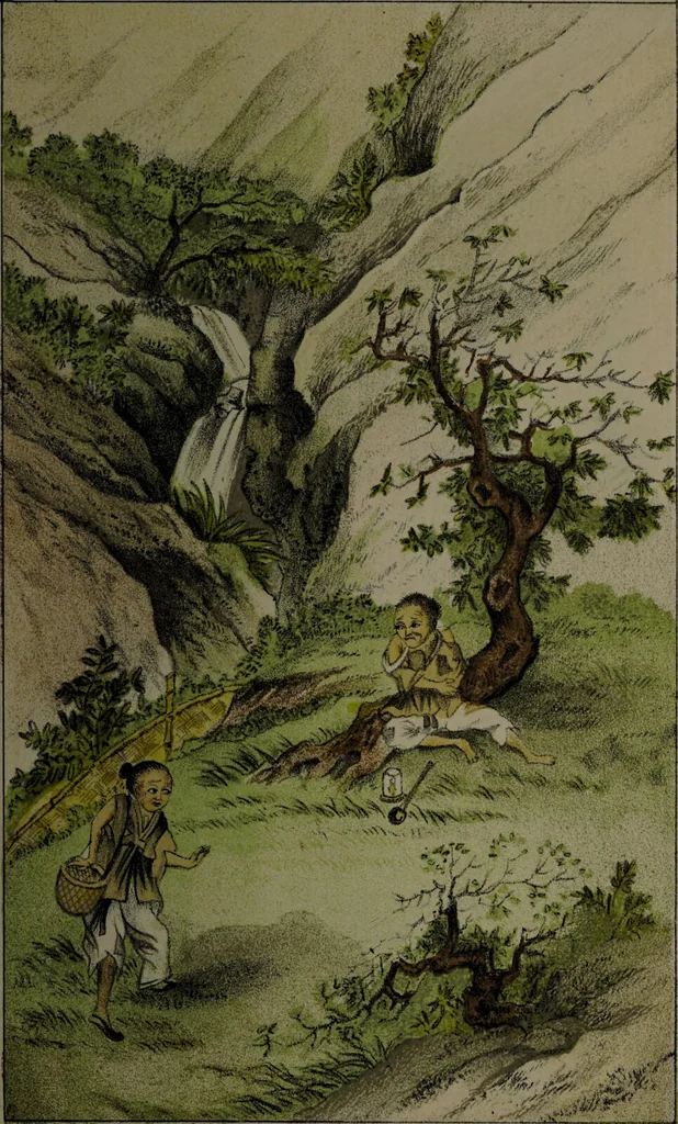 An illustration from The Chinese opium smoker. Twelve illustrations; facsimiles of native drawings / with a translation of the original Chinese text accompanying them, and appendices., 1881, leaf 31