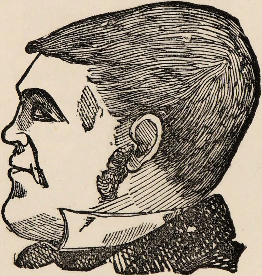 An illustration from How to learn phrenology : with hints as to the study of character / by L.N. Fowler., 1886, leaf 18