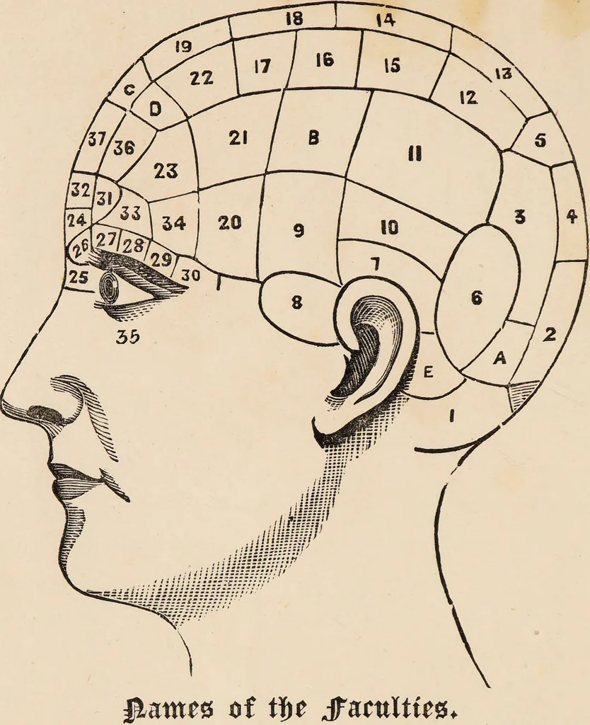 An illustration from How to learn phrenology : with hints as to the study of character / by L.N. Fowler., 1886, leaf 4