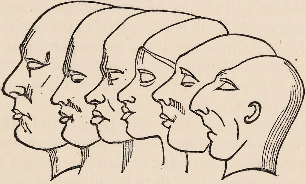 An illustration from How to learn phrenology : with hints as to the study of character / by L.N. Fowler., 1886, leaf 49
