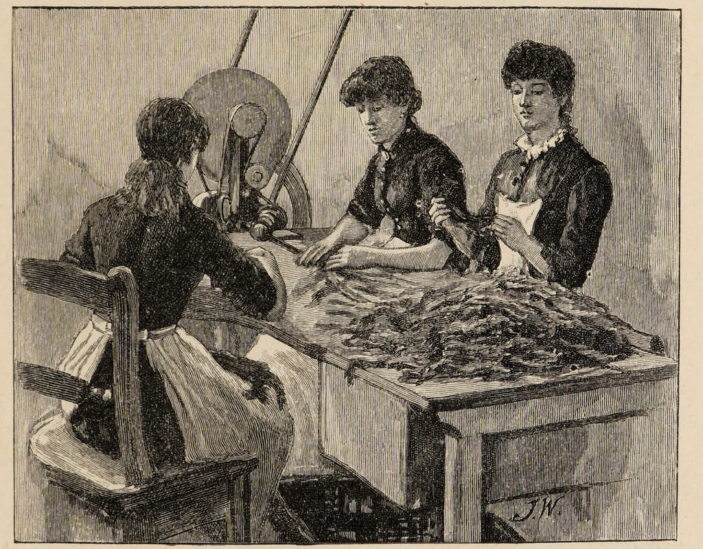 An illustration from The story of Sir Walter Ralegh : and A day in a tobacco factory / by Joseph Hatton ; illustrated by John Wallace., 1893, leaf 61