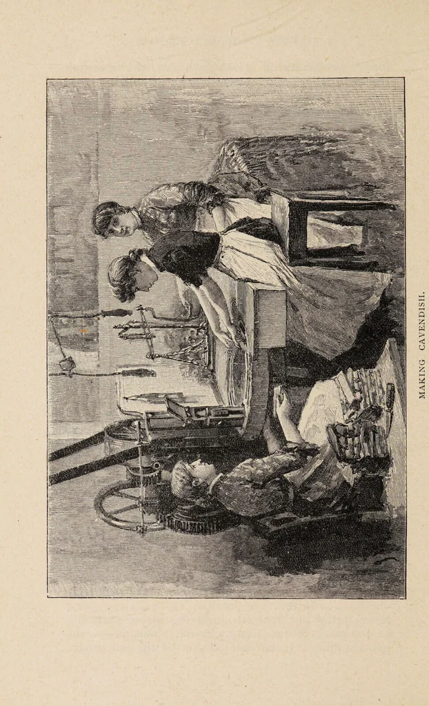 An illustration from The story of Sir Walter Ralegh : and A day in a tobacco factory / by Joseph Hatton ; illustrated by John Wallace., 1893, leaf 72
