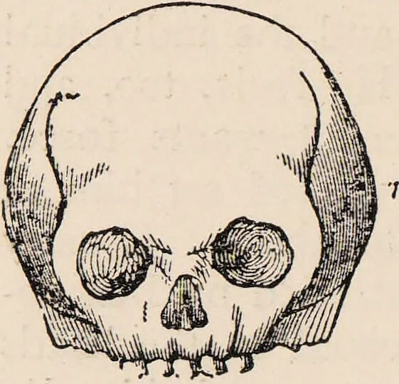 An illustration from Phrenology : how to read the head., 1890, leaf 24
