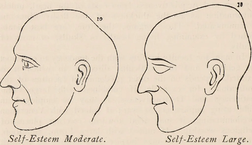 An illustration from Phrenology : how to read the head., 1890, leaf 30