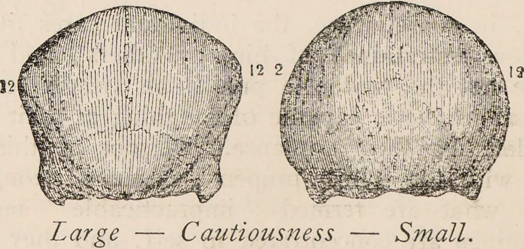 An illustration from Phrenology : how to read the head., 1890, leaf 34
