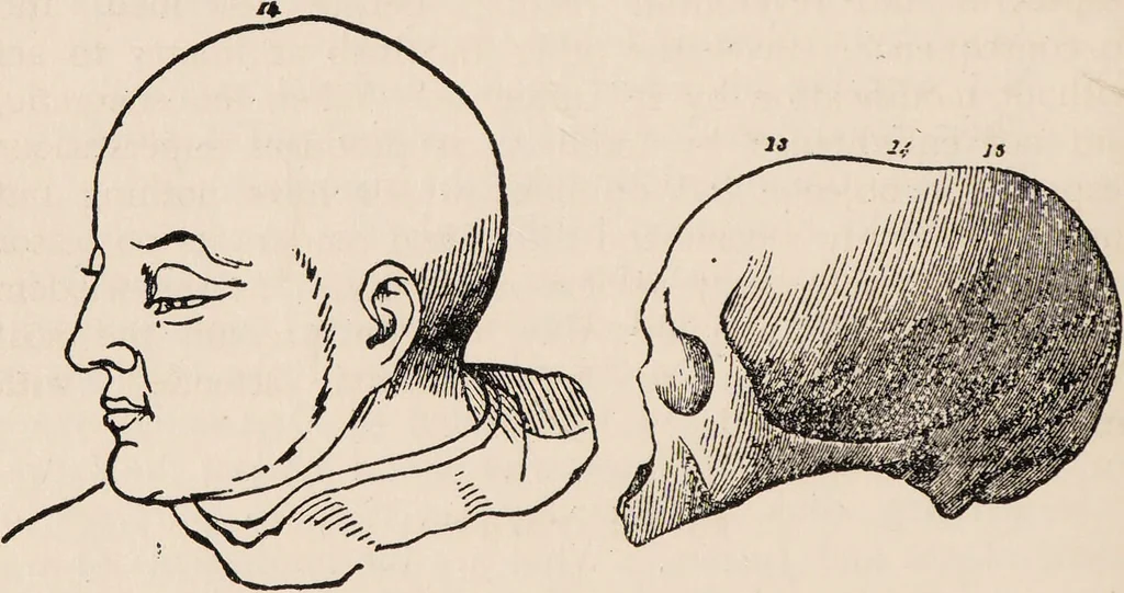 An illustration from Phrenology : how to read the head., 1890, leaf 38