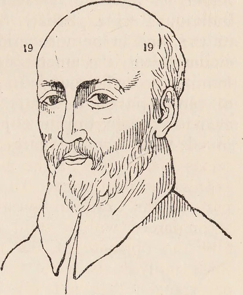 An illustration from Phrenology : how to read the head., 1890, leaf 45