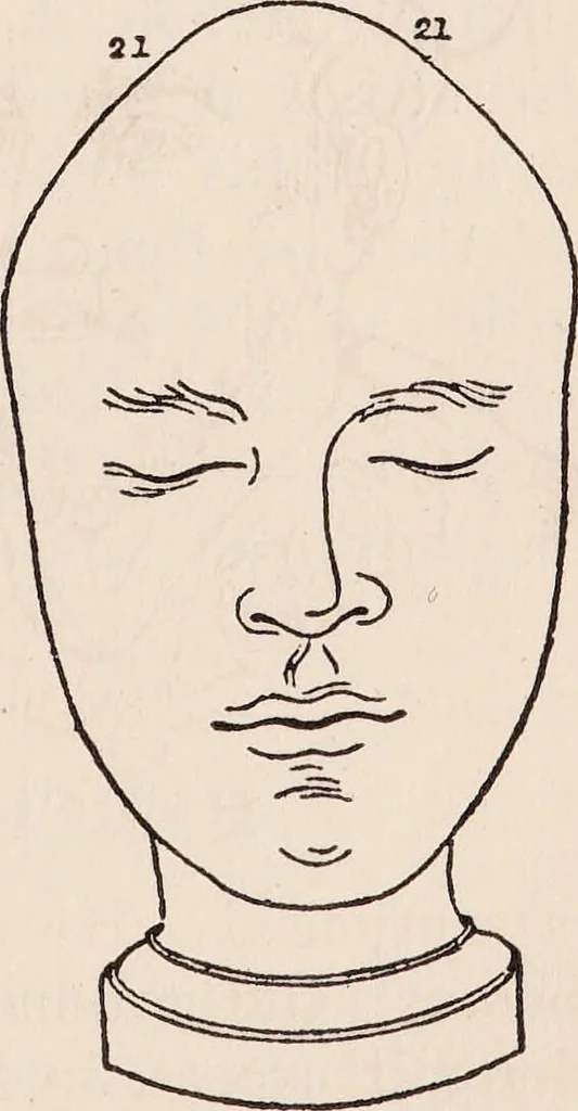 An illustration from Phrenology : how to read the head., 1890, leaf 47