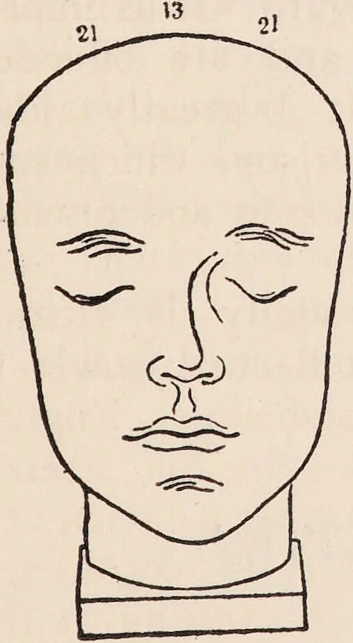 An illustration from Phrenology : how to read the head., 1890, leaf 47