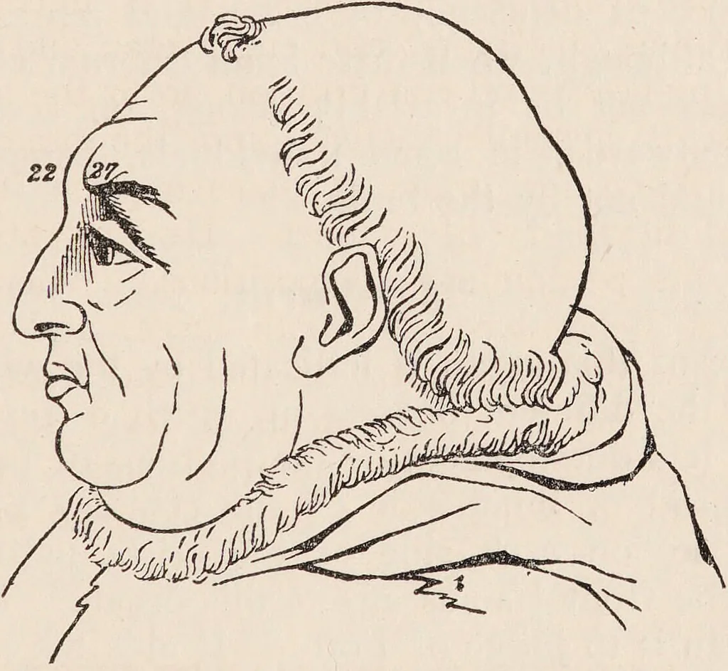 An illustration from Phrenology : how to read the head., 1890, leaf 49