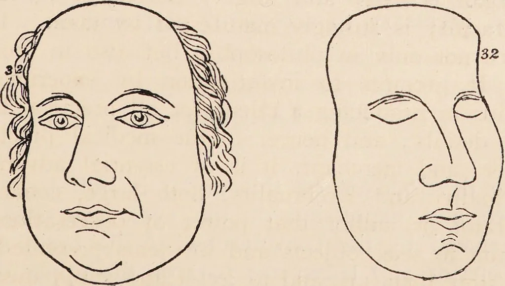 An illustration from Phrenology : how to read the head., 1890, leaf 57